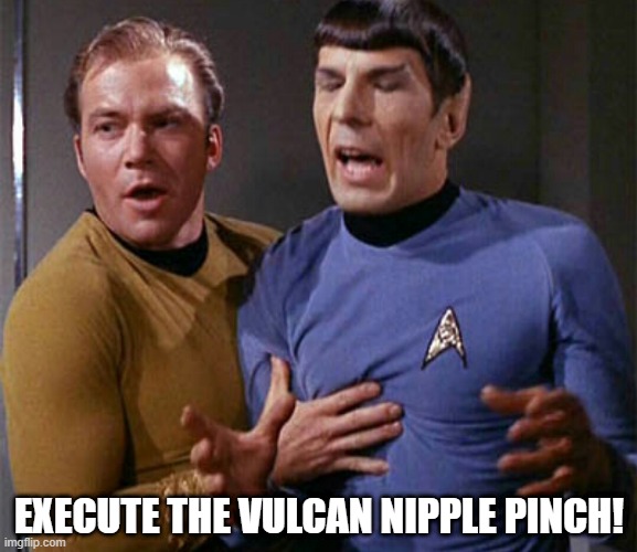 Pinch Spock | EXECUTE THE VULCAN NIPPLE PINCH! | image tagged in star trek jim kirk spock sock | made w/ Imgflip meme maker