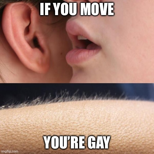 English or Spanish? | IF YOU MOVE; YOU’RE GAY | image tagged in whisper and goosebumps | made w/ Imgflip meme maker