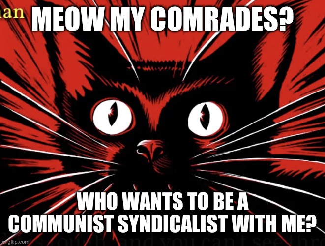 Sabo tabby | MEOW MY COMRADES? WHO WANTS TO BE A COMMUNIST SYNDICALIST WITH ME? | image tagged in sabo tabby | made w/ Imgflip meme maker