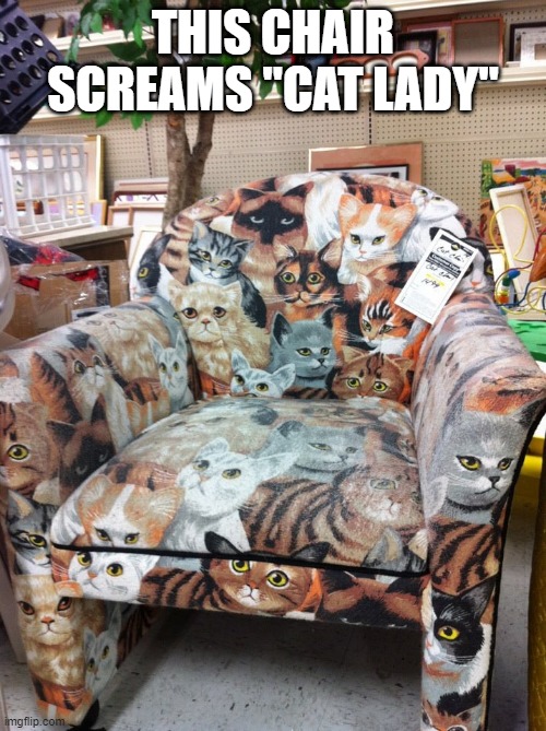 Cat Chair | THIS CHAIR SCREAMS "CAT LADY" | image tagged in cats | made w/ Imgflip meme maker