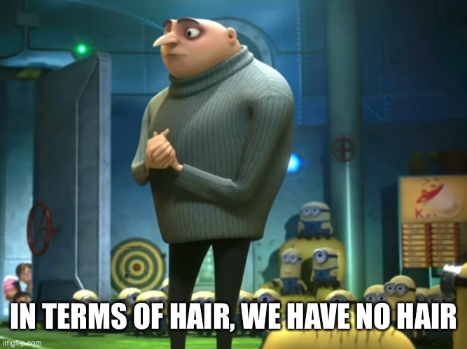 In terms of money, we have no money | IN TERMS OF HAIR, WE HAVE NO HAIR | image tagged in in terms of money we have no money | made w/ Imgflip meme maker