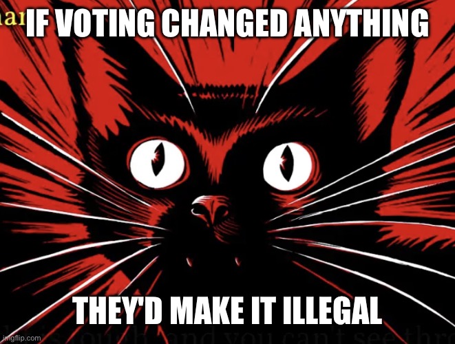 voting is useless. take direct action | IF VOTING CHANGED ANYTHING; THEY'D MAKE IT ILLEGAL | image tagged in sabo tabby,anarchism,communism | made w/ Imgflip meme maker