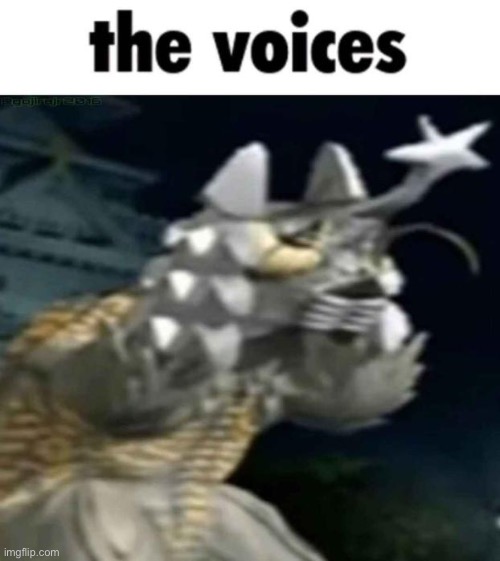 The voices… | image tagged in the voices | made w/ Imgflip meme maker