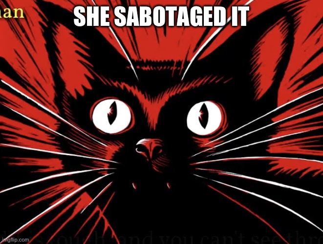 Sabo tabby | SHE SABOTAGED IT | image tagged in sabo tabby | made w/ Imgflip meme maker