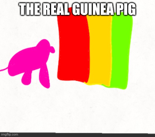 Guinea pig | THE REAL GUINEA PIG | image tagged in guinea pig | made w/ Imgflip meme maker