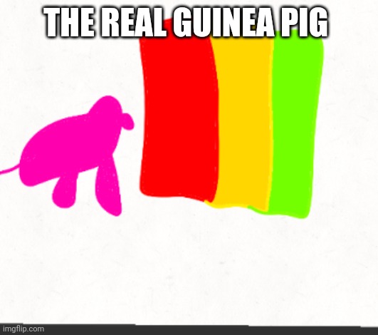 Guinea pig | THE REAL GUINEA PIG | image tagged in guinea pig | made w/ Imgflip meme maker