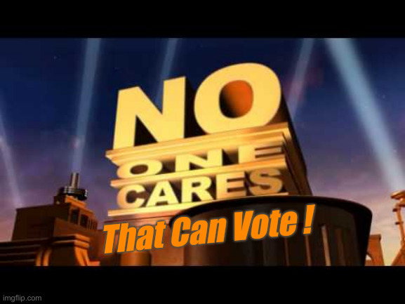 no one cares | That Can Vote ! | image tagged in no one cares | made w/ Imgflip meme maker