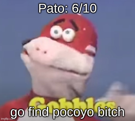 gobbles | Pato: 6/10; go find pocoyo bitch | image tagged in gobbles | made w/ Imgflip meme maker