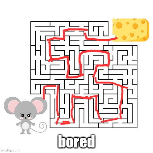 mouse maze | bored | image tagged in mouse maze | made w/ Imgflip meme maker