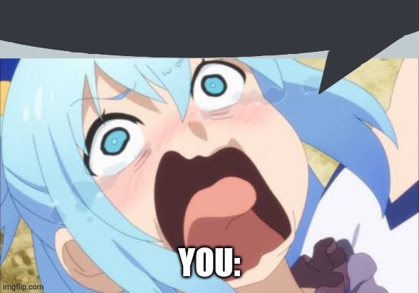 Aqua says | YOU: | image tagged in aqua says | made w/ Imgflip meme maker