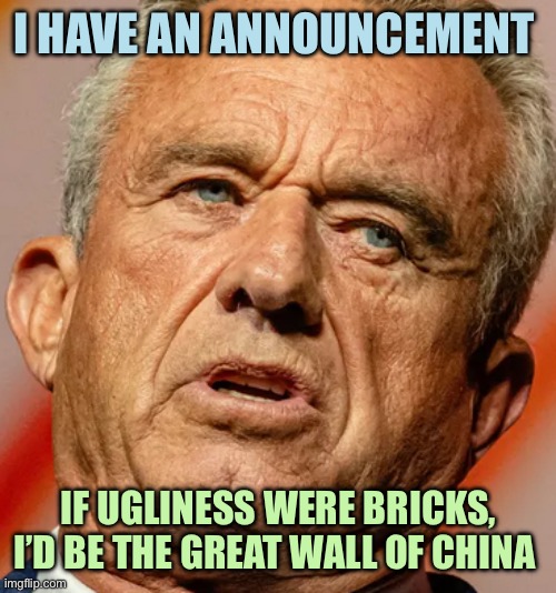 RFK jr | I HAVE AN ANNOUNCEMENT; IF UGLINESS WERE BRICKS, I’D BE THE GREAT WALL OF CHINA | image tagged in rfk jr,memes | made w/ Imgflip meme maker