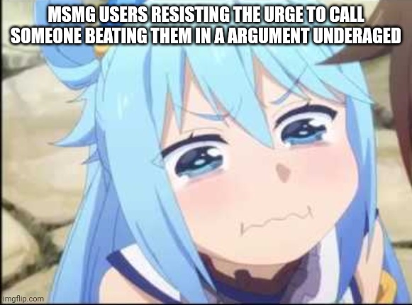 Crying Aqua Konosuba | MSMG USERS RESISTING THE URGE TO CALL SOMEONE BEATING THEM IN A ARGUMENT UNDERAGED | image tagged in crying aqua konosuba | made w/ Imgflip meme maker