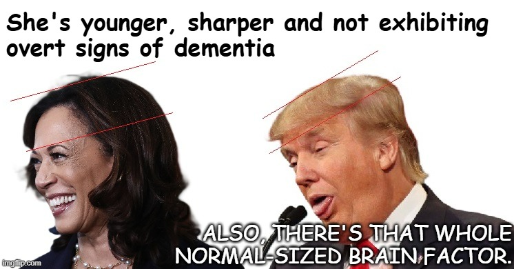 Buck up, Trump-cult kids; your boy's got solid grounds for a mental incompetence defence... if his ego doesn't get in the way. | She's younger, sharper and not exhibiting
overt signs of dementia; ALSO, THERE'S THAT WHOLE NORMAL-SIZED BRAIN FACTOR. | image tagged in kamala harris,big brain,versus,donald trump small brain | made w/ Imgflip meme maker