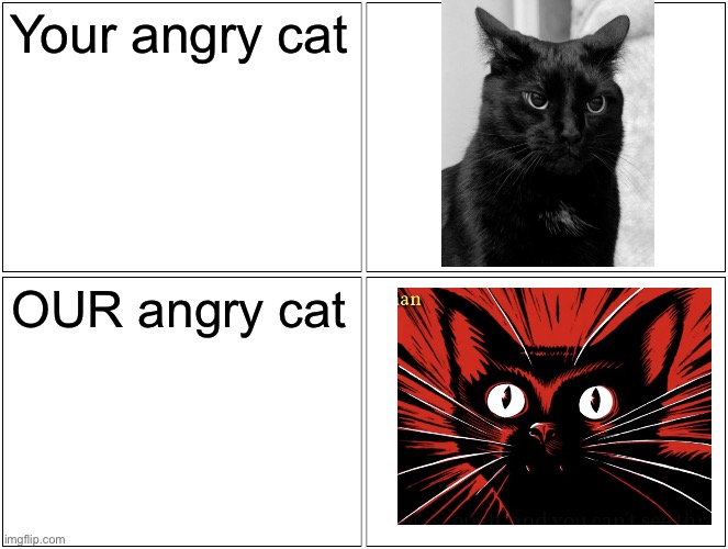 Blank Comic Panel 2x2 | Your angry cat; OUR angry cat | image tagged in memes,blank comic panel 2x2,cats,communism,angry cat,kitty | made w/ Imgflip meme maker