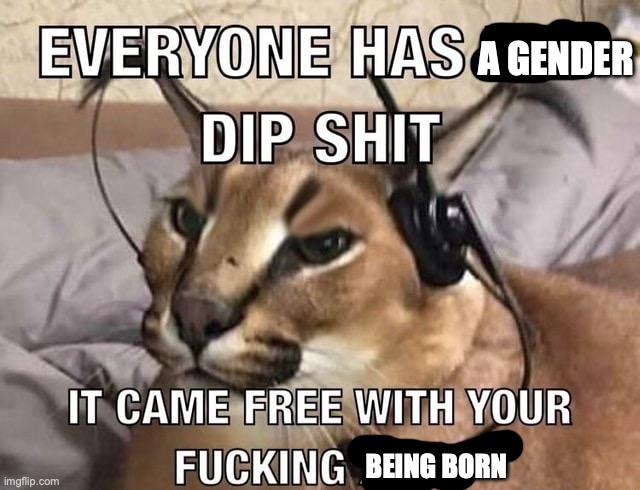 Everyone has X Dip Shit | A GENDER BEING BORN | image tagged in everyone has x dip shit | made w/ Imgflip meme maker