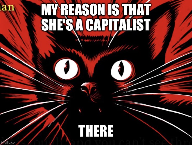 Sabo tabby | MY REASON IS THAT SHE'S A CAPITALIST THERE | image tagged in sabo tabby | made w/ Imgflip meme maker