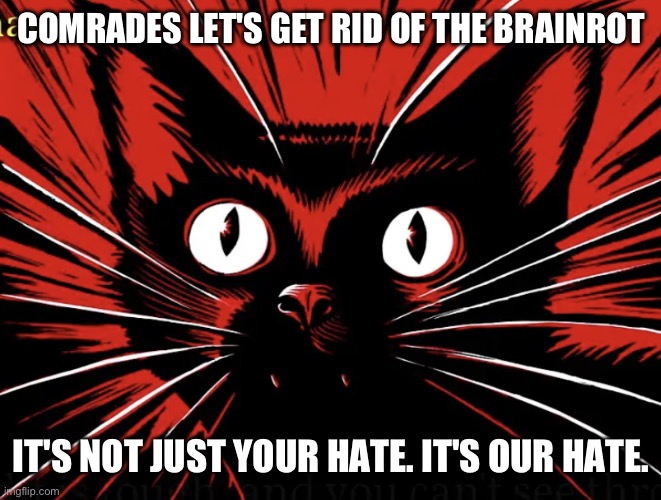 Sabo tabby | COMRADES LET'S GET RID OF THE BRAINROT; IT'S NOT JUST YOUR HATE. IT'S OUR HATE. | image tagged in sabo tabby | made w/ Imgflip meme maker