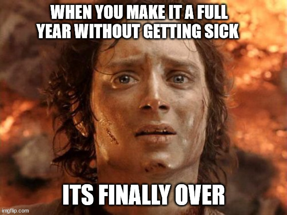 It's Finally Over Meme | WHEN YOU MAKE IT A FULL YEAR WITHOUT GETTING SICK; ITS FINALLY OVER | image tagged in memes,it's finally over,lotr,frodo | made w/ Imgflip meme maker