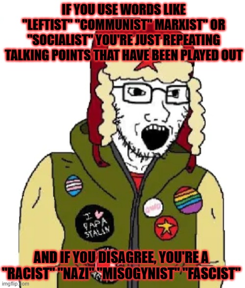 Say Wut? | IF YOU USE WORDS LIKE "LEFTIST" "COMMUNIST" MARXIST" OR "SOCIALIST" YOU'RE JUST REPEATING TALKING POINTS THAT HAVE BEEN PLAYED OUT; AND IF YOU DISAGREE, YOU'RE A "RACIST" "NAZI" "MISOGYNIST" "FASCIST" | image tagged in leftist wojak | made w/ Imgflip meme maker