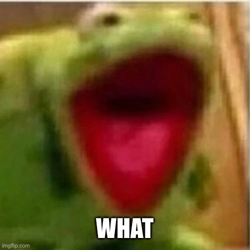 AHHHHHHHHHHHHH | WHAT | image tagged in ahhhhhhhhhhhhh | made w/ Imgflip meme maker