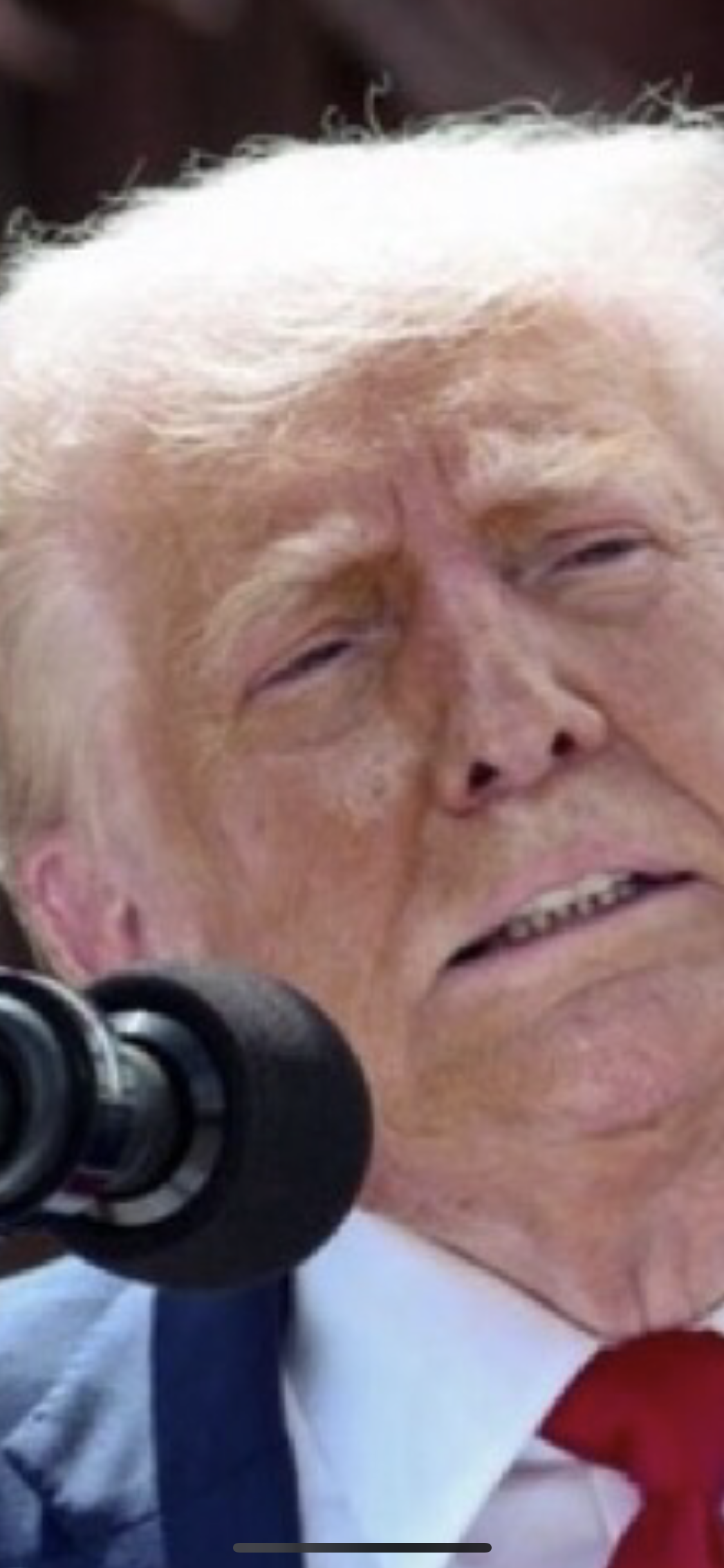 Please Help Trump Blank Meme Template