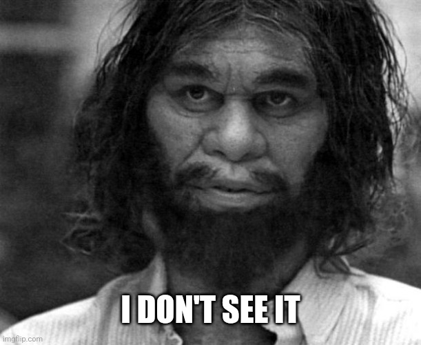 Geico Caveman | I DON'T SEE IT | image tagged in geico caveman | made w/ Imgflip meme maker