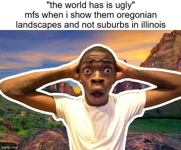 the world is beautiful, you just have to find the right place ?? | "the world has is ugly"
mfs when i show them oregonian landscapes and not suburbs in illinois | image tagged in memes,beautiful,oregon,illinois | made w/ Imgflip meme maker