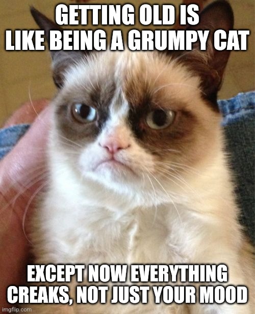 Grumpy Cat Meme | GETTING OLD IS LIKE BEING A GRUMPY CAT; EXCEPT NOW EVERYTHING CREAKS, NOT JUST YOUR MOOD | image tagged in memes,grumpy cat | made w/ Imgflip meme maker