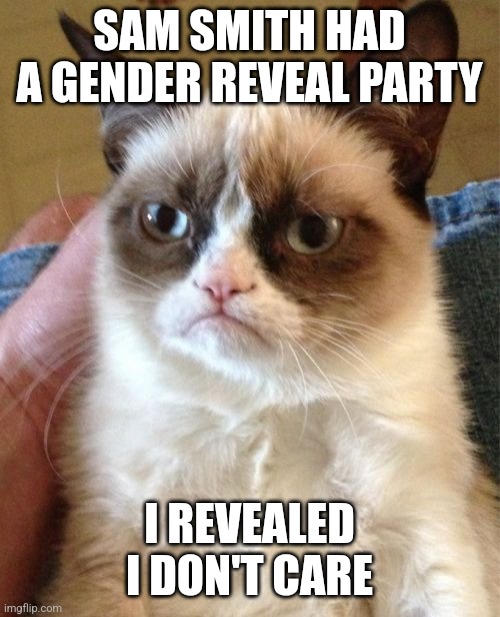 Grumpy Cat | SAM SMITH HAD A GENDER REVEAL PARTY; I REVEALED I DON'T CARE | image tagged in memes,grumpy cat | made w/ Imgflip meme maker