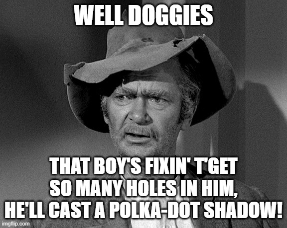 Jed Clampett | WELL DOGGIES; THAT BOY'S FIXIN' T'GET SO MANY HOLES IN HIM, HE'LL CAST A POLKA-DOT SHADOW! | image tagged in jed clampett | made w/ Imgflip meme maker