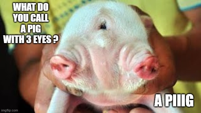 memes by Brad - What do you call a pig with 3 eyes? - humor | WHAT DO YOU CALL A PIG WITH 3 EYES ? A PIIIG | image tagged in funny,fun,pigs,eyes,funny meme,humor | made w/ Imgflip meme maker