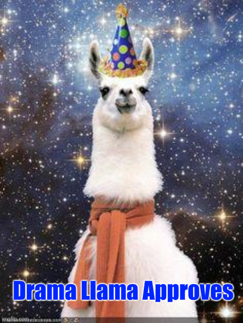 Drama Llama Birthday | Drama Llama Approves | image tagged in drama llama birthday | made w/ Imgflip meme maker