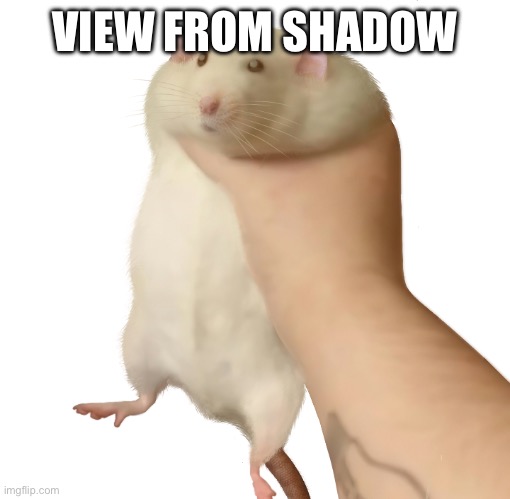 Rat Hand | VIEW FROM SHADOW | image tagged in rat hand | made w/ Imgflip meme maker