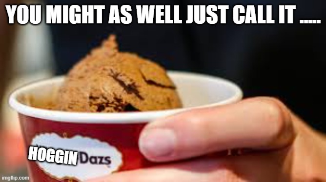 memes by Brad - Haagen Dazs is thinking of changing it's name - humor | YOU MIGHT AS WELL JUST CALL IT ..... HOGGIN | image tagged in funny,fun,ice cream,funny names,humor | made w/ Imgflip meme maker