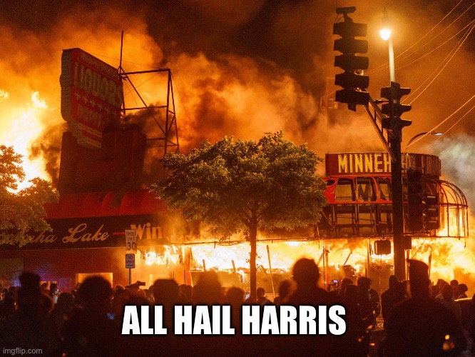 Democrat policies | ALL HAIL HARRIS | image tagged in democrat policies | made w/ Imgflip meme maker