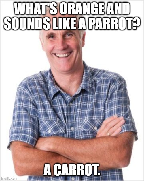 Carrot | WHAT'S ORANGE AND SOUNDS LIKE A PARROT? A CARROT. | image tagged in dad joke,memes,dad joke meme,dad jokes | made w/ Imgflip meme maker