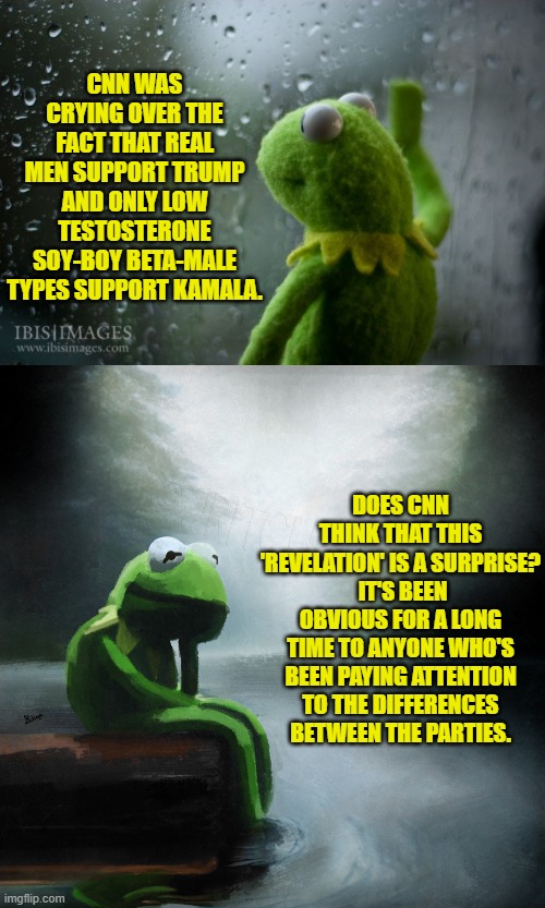 I mean come on CNN and actually TRY to surprise us with a real surprise. | CNN WAS CRYING OVER THE FACT THAT REAL MEN SUPPORT TRUMP AND ONLY LOW TESTOSTERONE SOY-BOY BETA-MALE TYPES SUPPORT KAMALA. DOES CNN THINK THAT THIS 'REVELATION' IS A SURPRISE?  IT'S BEEN OBVIOUS FOR A LONG TIME TO ANYONE WHO'S BEEN PAYING ATTENTION TO THE DIFFERENCES BETWEEN THE PARTIES. | image tagged in kermit window | made w/ Imgflip meme maker