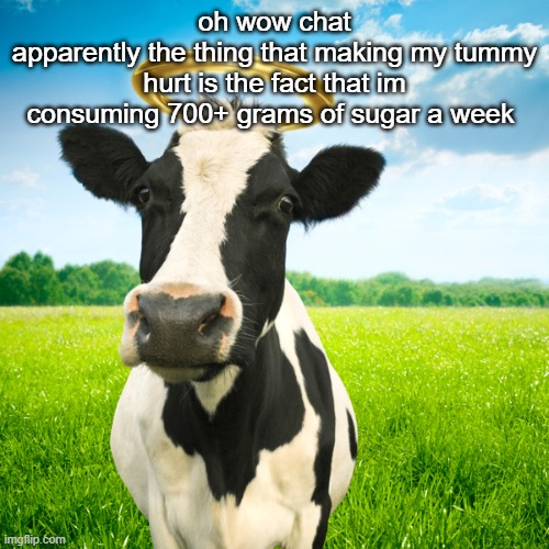 Holy Cow | oh wow chat
apparently the thing that making my tummy hurt is the fact that im consuming 700+ grams of sugar a week | image tagged in holy cow | made w/ Imgflip meme maker