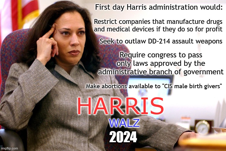 Harris Walz | First day Harris administration would:; Restrict companies that manufacture drugs and medical devices if they do so for profit; Seek to outlaw DD-214 assault weapons; Require congress to pass only laws approved by the administrative branch of government; Make abortions available to "CIS male birth givers"; HARRIS; WALZ; 2024 | image tagged in kamala harris | made w/ Imgflip meme maker