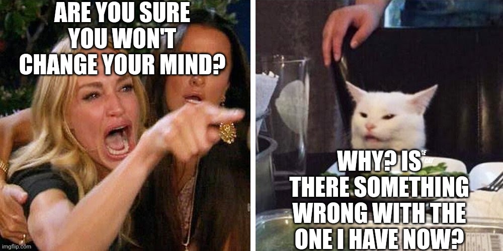 Smudge that darn cat with Karen | ARE YOU SURE YOU WON'T CHANGE YOUR MIND? WHY? IS THERE SOMETHING WRONG WITH THE ONE I HAVE NOW? | image tagged in smudge that darn cat with karen | made w/ Imgflip meme maker