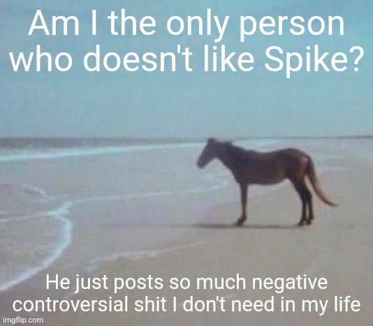 man. | Am I the only person who doesn't like Spike? He just posts so much negative controversial shit I don't need in my life | image tagged in man | made w/ Imgflip meme maker