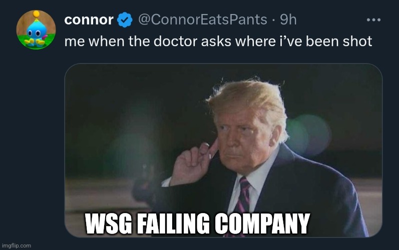 Trump | WSG FAILING COMPANY | image tagged in trump | made w/ Imgflip meme maker