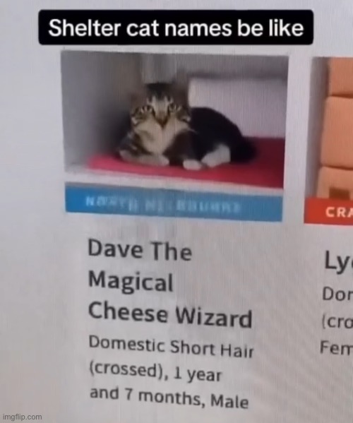 On god | made w/ Imgflip meme maker