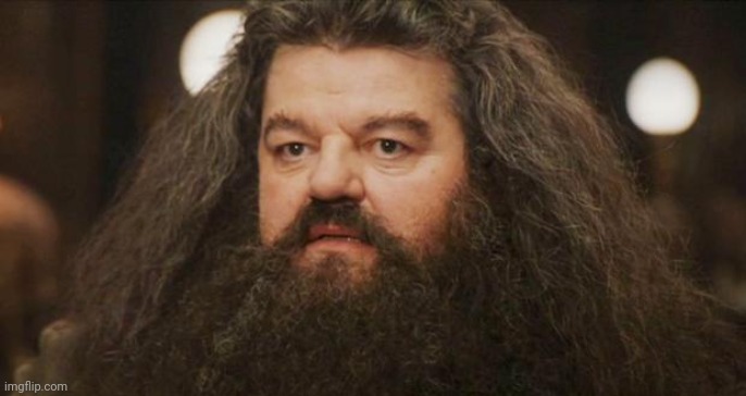 Hagrid | image tagged in hagrid | made w/ Imgflip meme maker