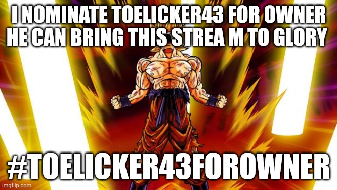 Super Saiyan | I NOMINATE TOELICKER43 FOR OWNER
HE CAN BRING THIS STREA M TO GLORY; #TOELICKER43FOROWNER | image tagged in super saiyan | made w/ Imgflip meme maker