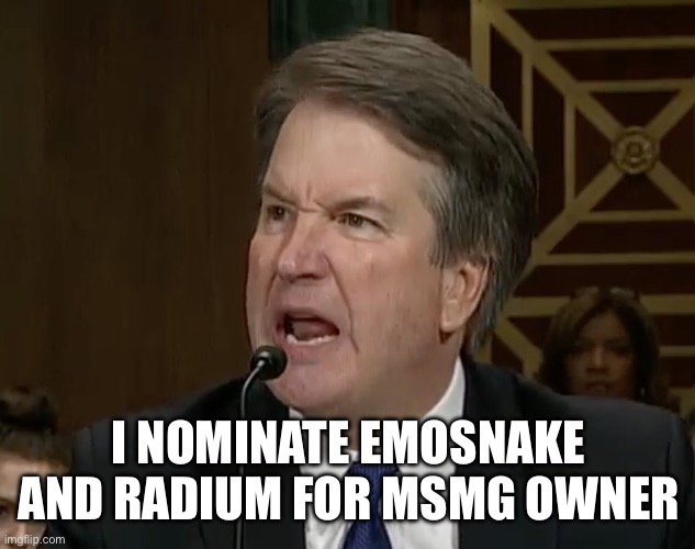 Raging Kavanaugh | I NOMINATE EMOSNAKE AND RADIUM FOR MSMG OWNER | image tagged in raging kavanaugh | made w/ Imgflip meme maker