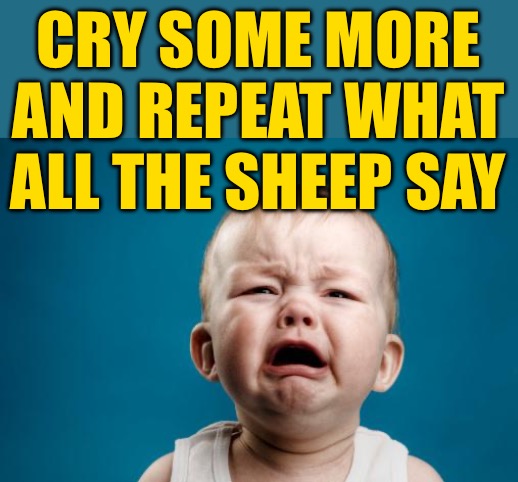 crybaby | CRY SOME MORE AND REPEAT WHAT ALL THE SHEEP SAY | image tagged in crybaby | made w/ Imgflip meme maker