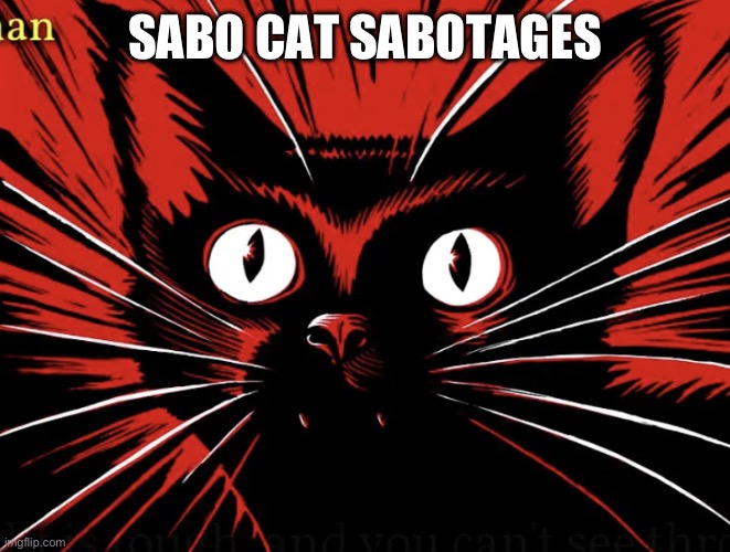 Sabo tabby | SABO CAT SABOTAGES | image tagged in sabo tabby | made w/ Imgflip meme maker