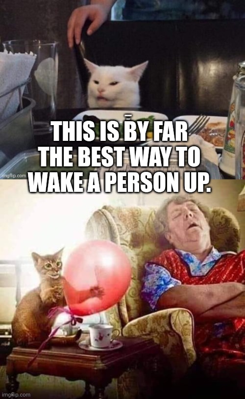 THIS IS BY FAR THE BEST WAY TO WAKE A PERSON UP. | image tagged in smudge that darn cat | made w/ Imgflip meme maker