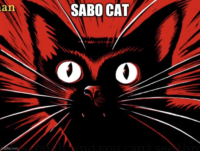 Sabo tabby | SABO CAT | image tagged in sabo tabby | made w/ Imgflip meme maker